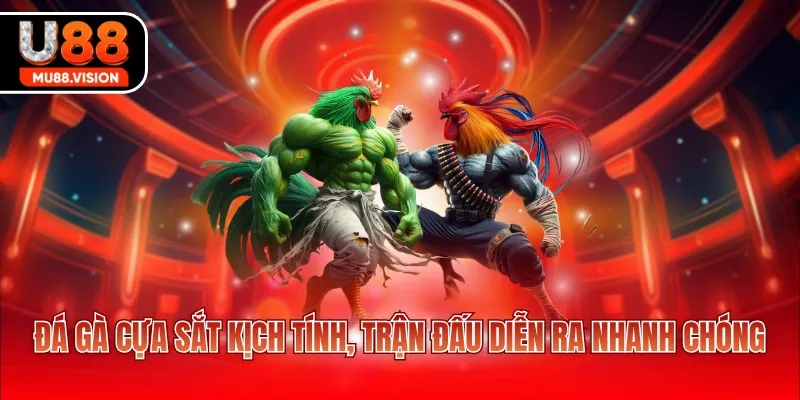 Đá gà cựa sắt kịch tính, trận đấu diễn ra nhanh chóng