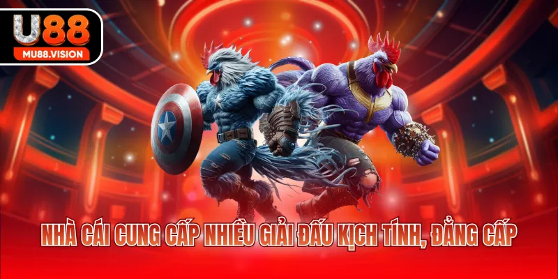 Nhà cái cung cấp nhiều giải đấu kịch tính, đẳng cấp